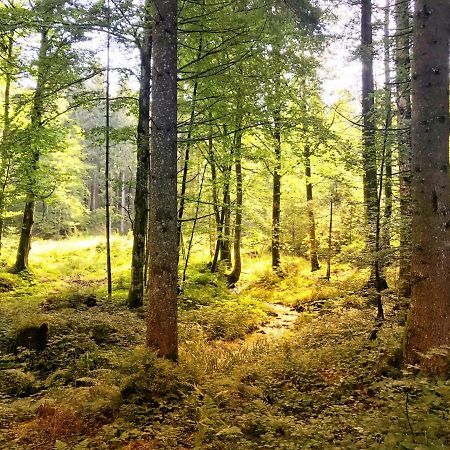 Ferienwohnung - Missen-Wilhams Allgaeu Luaran gambar